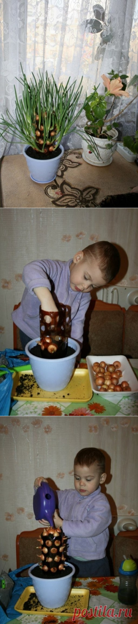 (1) Одноклассники