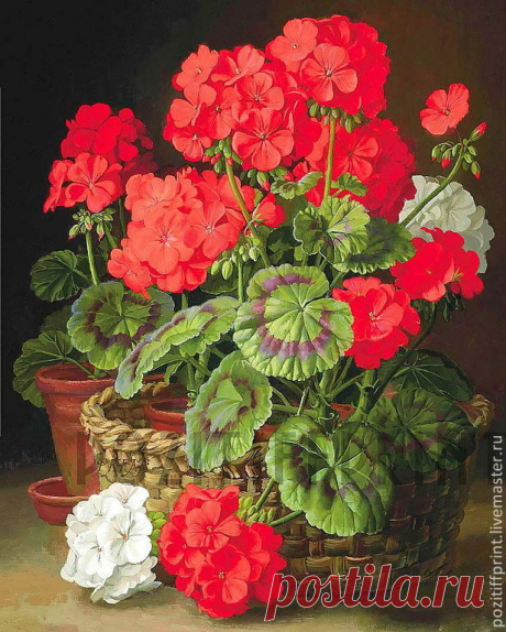 Герань. Вдохновение. Картинки можно напечатать Печать принтов А3-170р, А4-120р, А5-75р