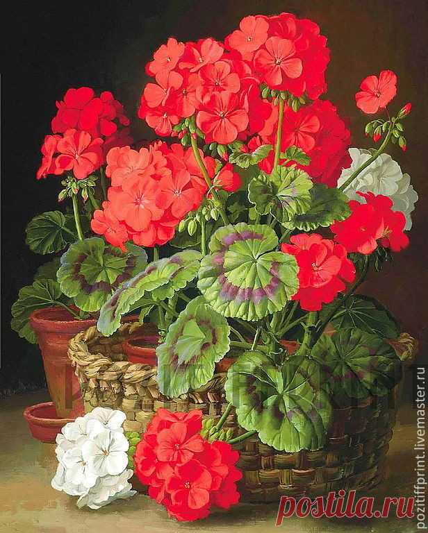 Герань. Вдохновение. Картинки можно напечатать Печать принтов А3-170р, А4-120р, А5-75р