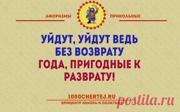 20 жизненных открыток с философским юмором - Смехотерапия - 13 марта - 43439455455 - Медиаплатформа МирТесен
