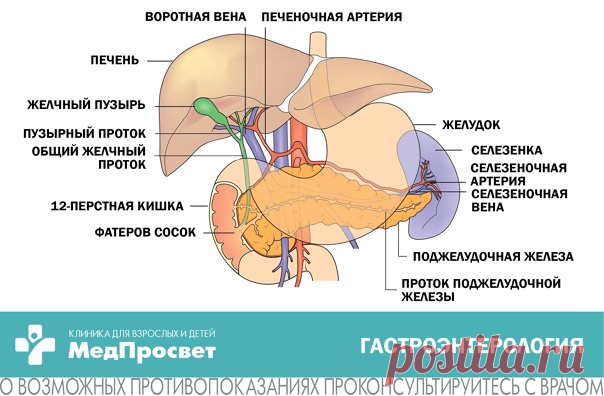-25 % скидка по гастроэнтерологии 