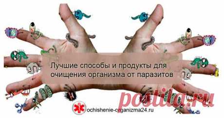 Очищение организма от паразитов