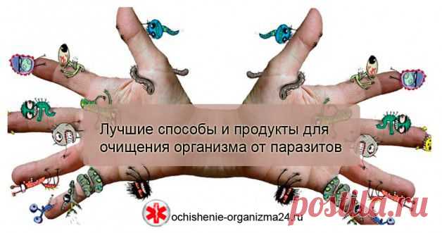 Очищение организма от паразитов