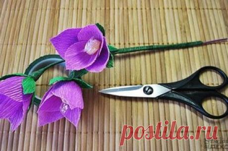 Дизайн &amp; Декор