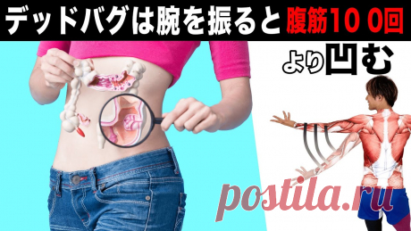 【20秒】デッドバグで手を振ると腹筋100回より凹む！ ◆オンラインサロンYou Fit     ＼今なら１週間無料／https://video.yuki100buy.jp/membership-lp/YouTubeでは話せない健康やダイエットに関する情報やLiveレッスンを定期配信中。◆LINE公式はこちらhttps://lin.ee/jyYk3Fs◆中川愛用グッズ...
