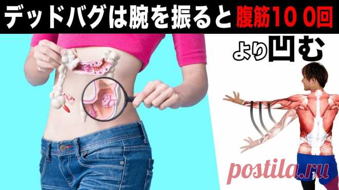 【20秒】デッドバグで手を振ると腹筋100回より凹む！ ◆オンラインサロンYou Fit     ＼今なら１週間無料／https://video.yuki100buy.jp/membership-lp/YouTubeでは話せない健康やダイエットに関する情報やLiveレッスンを定期配信中。◆LINE公式はこちらhttps://lin.ee/jyYk3Fs◆中川愛用グッズ...