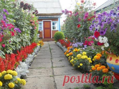 Тут живут трудяжки) Не жалей ставить класс!!!