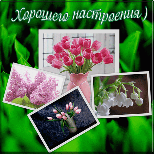 Открытки Пожелания - Хорошего настроения - анимация и открытки