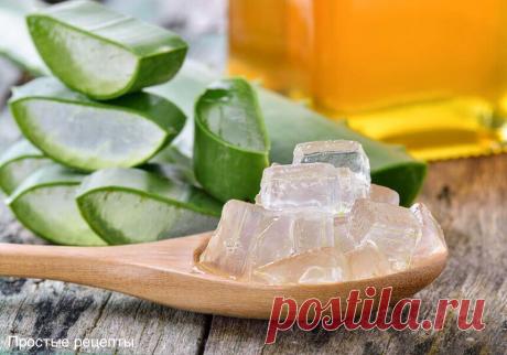 Самый лучший и естественный способ омоложения организма | ПРОСТЫЕ РЕЦЕПТЫ | Яндекс Дзен