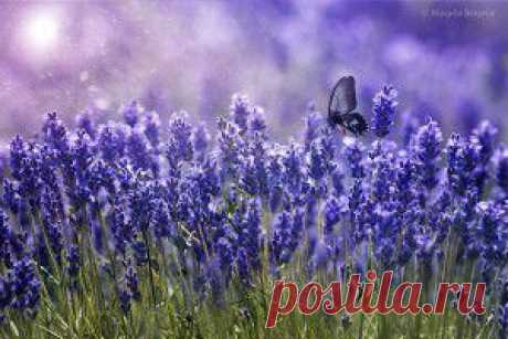 ИЗБАВЛЯЕМ СВОЙ ОРГАНИЗМ ОТ ТЯЖЁЛЫХ МЕТАЛЛОВ, ПЕСТИЦИДОВ, МЕТАБОЛИЧЕСКИХ ОТХОДОВ И ДРУГИХ ЗАГРЯЗНИТЕЛЕЙ. | Познавательный сайт ,,1000 мелочей&quot;