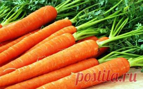 10 средств для защиты растений