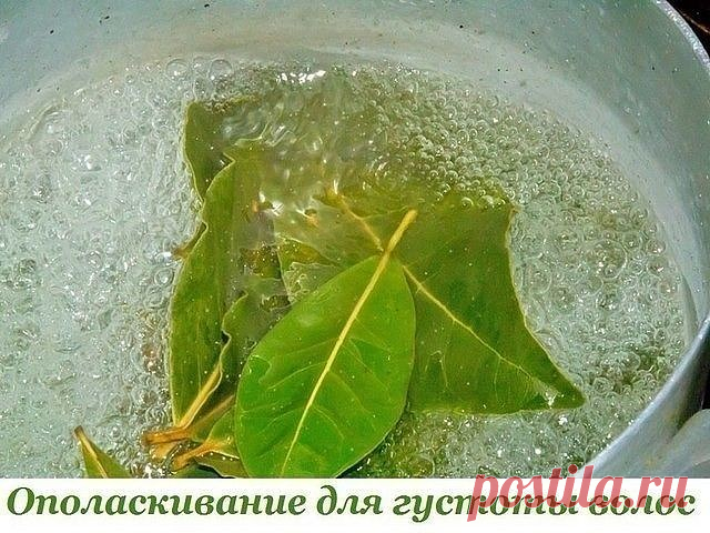 (28) Одноклассники