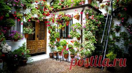 Профессионалы советуют начать с выращивания комнатных растений. Любое помещение с появлением цветов становится уютнее