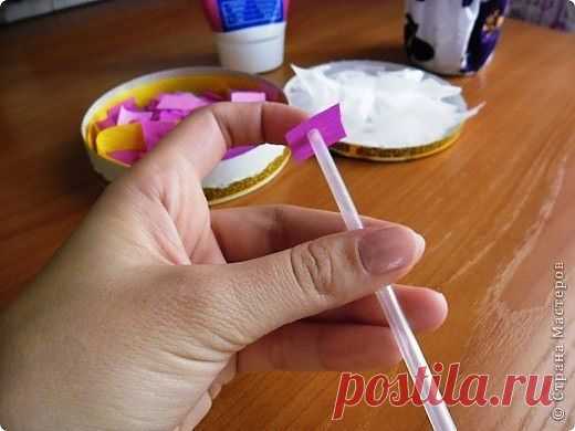 Фотографии на стене сообщества | 32 879 фотографий