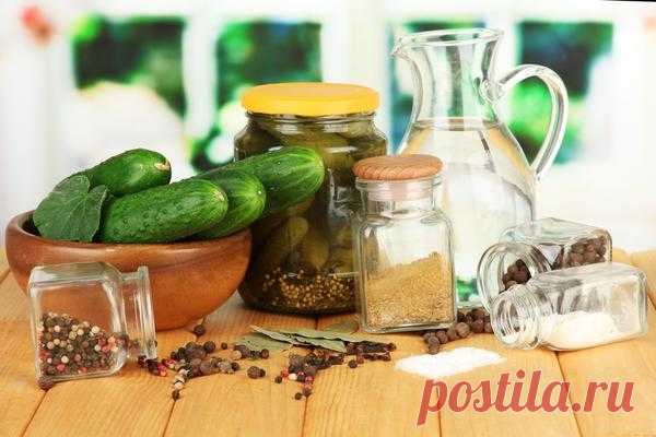 Соленые и маринованные огурцы: секреты заготовки