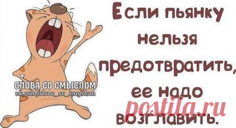 Ваууу, смотри какой мальчик!..... Я пошла знакомиться! - Сядь... пьяная идиотка, это.... Твой Муж )))))