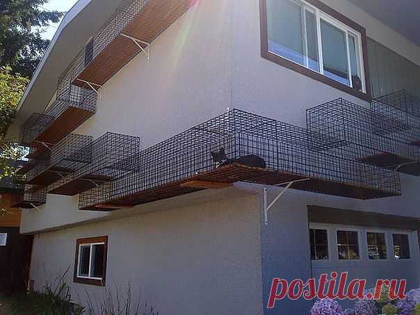 ЛАБИРИНТ ДЛЯ КОШЕК