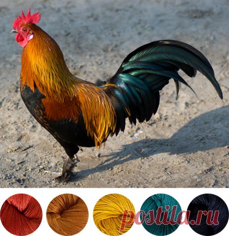 Символ 2017 года Петух крючком: подборка из 35 схем и мастер-классов и идеи для вдохновения