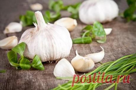 Разрезала чеснок и вынула сердцевинку... Профилактика рака и способ похудеть!