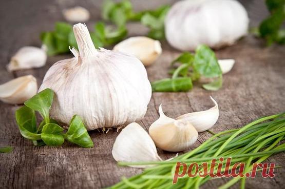 Разрезала чеснок и вынула сердцевинку... Профилактика рака и способ похудеть!