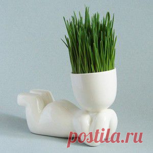 «ЭкоЧеловеки»