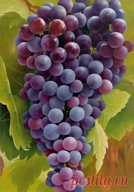 Одноклассники