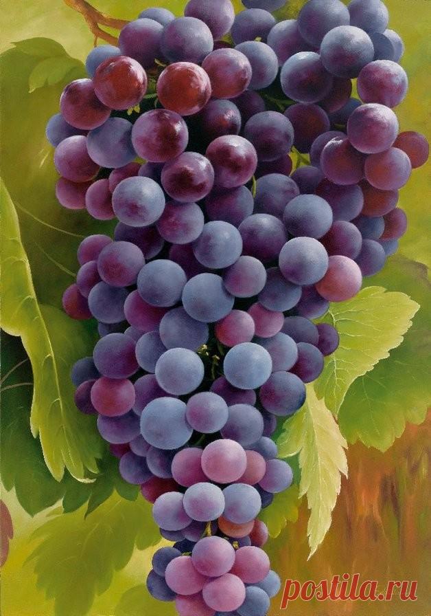 Одноклассники