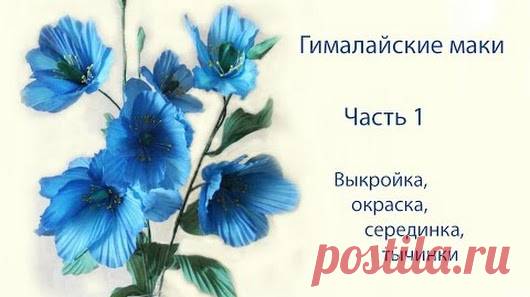 Olga Kanunnikova - Google+