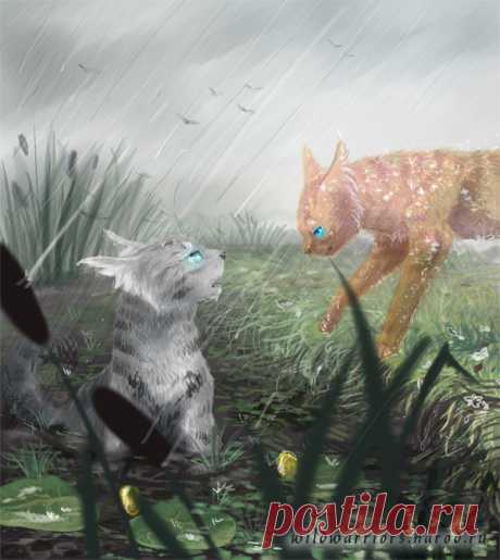 Jayfeather and Flametail. Warriors by Romashik-arts on DeviantArt