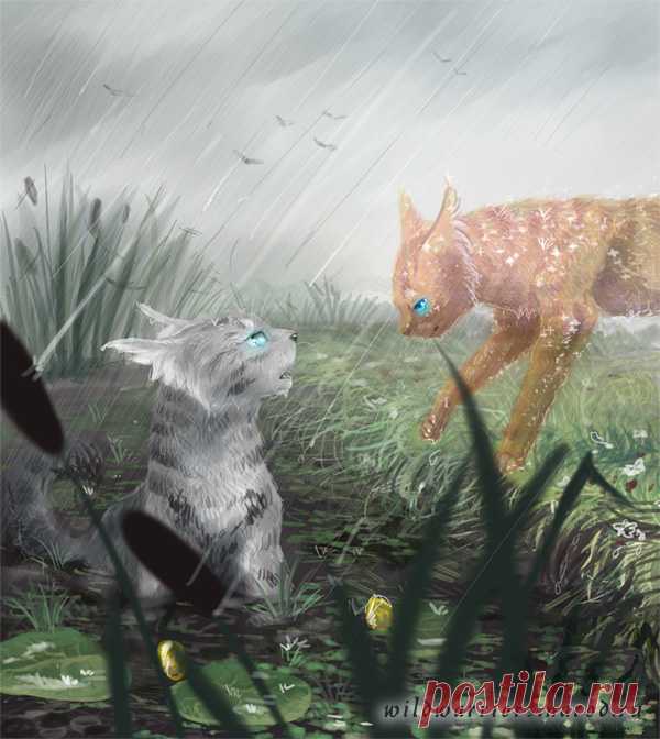 Jayfeather and Flametail. Warriors by Romashik-arts on DeviantArt
