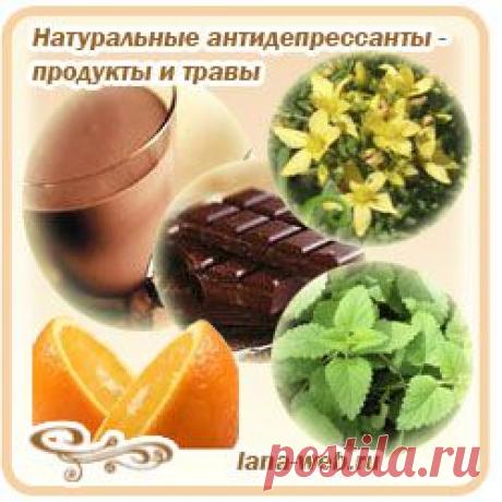 Антистресс - травы и продукты