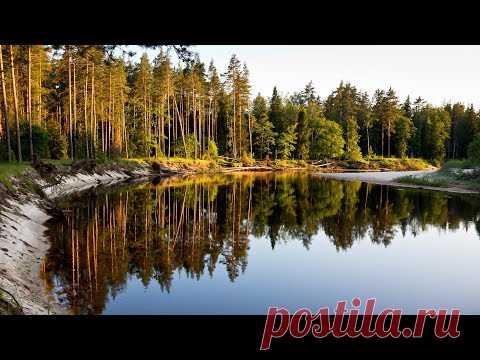 Забыл антенну. Yaesu, Карат и Ангара, КВ связь, эксперименты с антеннами. Полевой лагерь 2020. - YouTube