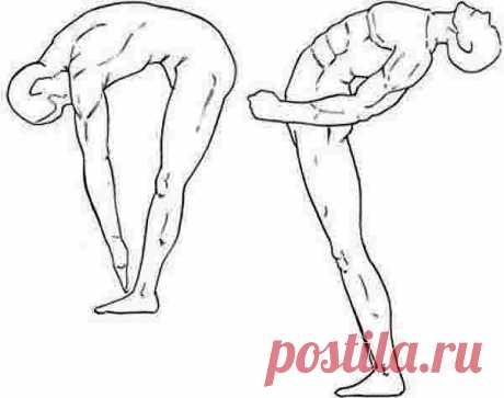 13 полезных советов | Фото-Мир