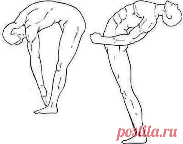 13 полезных советов | Фото-Мир