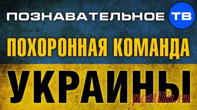 Полезные видеоролики для понимания происходящего | Николай Стариков