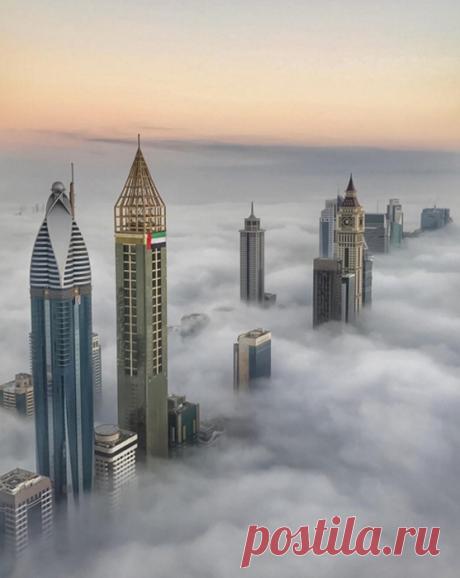 Красиво жить не запретишь: сказочная жизнь наследного принца Дубая