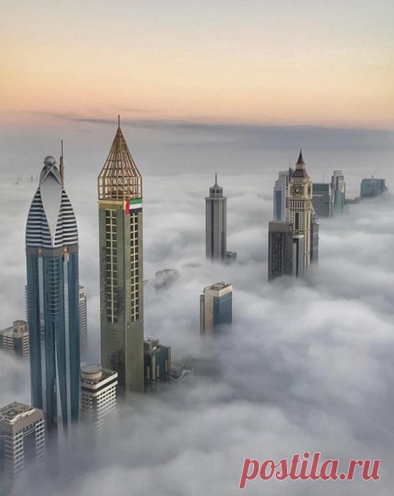 Красиво жить не запретишь: сказочная жизнь наследного принца Дубая