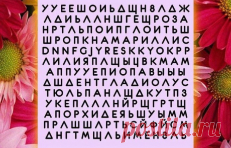 Тест личности: Название какого цветка вы увидели первым может отражать множество аспектов — Бабушкины секреты