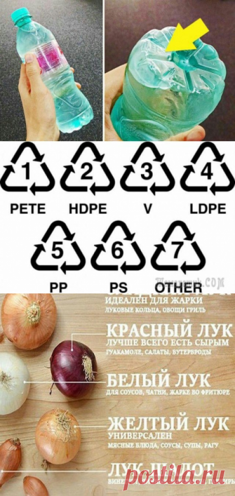 Про так называемый пищевой пластик / Высказаться / ВТОРАЯ УЛИЦА