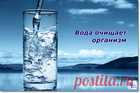 Сколько пить воды и зачем?