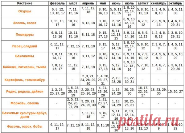 Календарь посадок овощей на 2019 год: советы и таблица