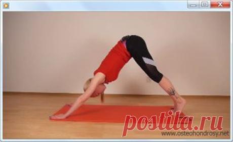 Видеокурс Александры Бониной «Секреты здоровой поясницы» | Система устранения болей в поясничном отделе позвоночника с помощью лечебных упражнений | Скачать