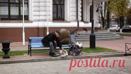 Диковинки жизни: Старый бродяга Стилли Бом (фото, видео)