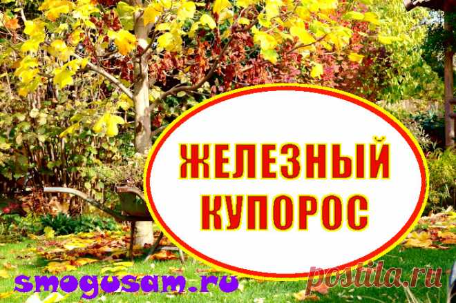 Железный купорос — почему так важен для сада