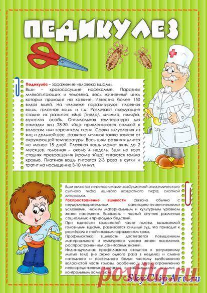 СМЕШНАЯ СХЕМА НА МЕДИЦИНСКУЮ ТЕМУ: 12 тыс изображений найдено в Яндекс.Картинках