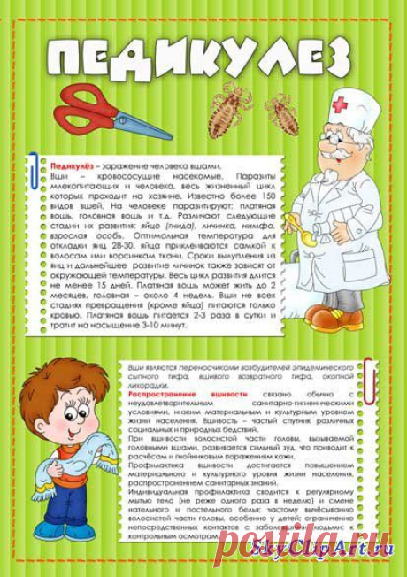 СМЕШНАЯ СХЕМА НА МЕДИЦИНСКУЮ ТЕМУ: 12 тыс изображений найдено в Яндекс.Картинках