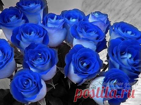 Тает время... быстрей чем песок,
Ты сгораешь, быстрее чем свечка,
Сединой уж отбелен висок...
Но все так же стучится сердечко.

По морщинкам секунды бегут,
И безжалостно режут ножами,
Неземную твою красоту...
И надежда лишь только на память.

Каждый день, что дарует рассвет,
Прячет зеркало в старой прихожей
И последствия прожитых лет,
Ты среди отражений находишь...