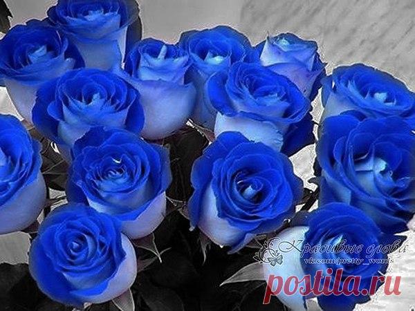 Тает время... быстрей чем песок,
Ты сгораешь, быстрее чем свечка,
Сединой уж отбелен висок...
Но все так же стучится сердечко.

По морщинкам секунды бегут,
И безжалостно режут ножами,
Неземную твою красоту...
И надежда лишь только на память.

Каждый день, что дарует рассвет,
Прячет зеркало в старой прихожей
И последствия прожитых лет,
Ты среди отражений находишь...