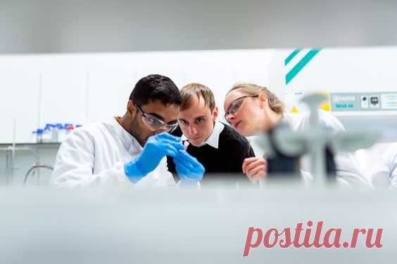 Научные работы на заказ Москва