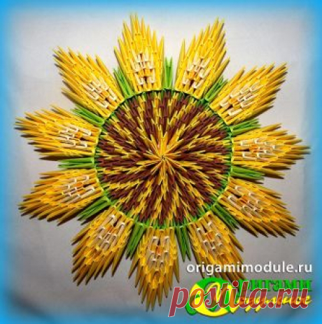 Подсолнух оригами. Модульное оригами подсолнухи